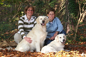 Wir