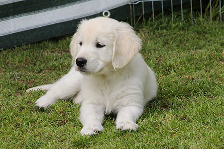 Molly